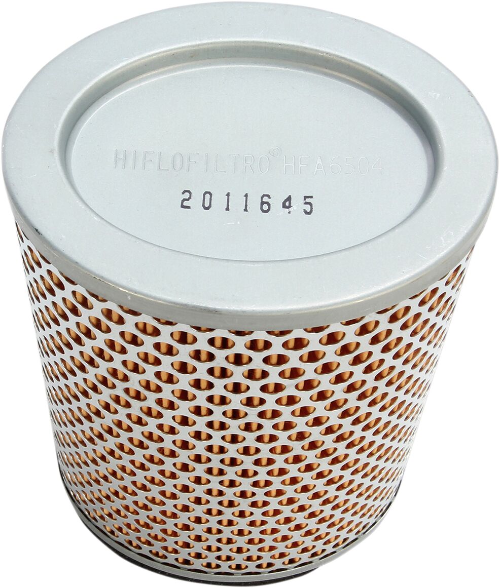 Hiflofiltro Air Filtre Triumph