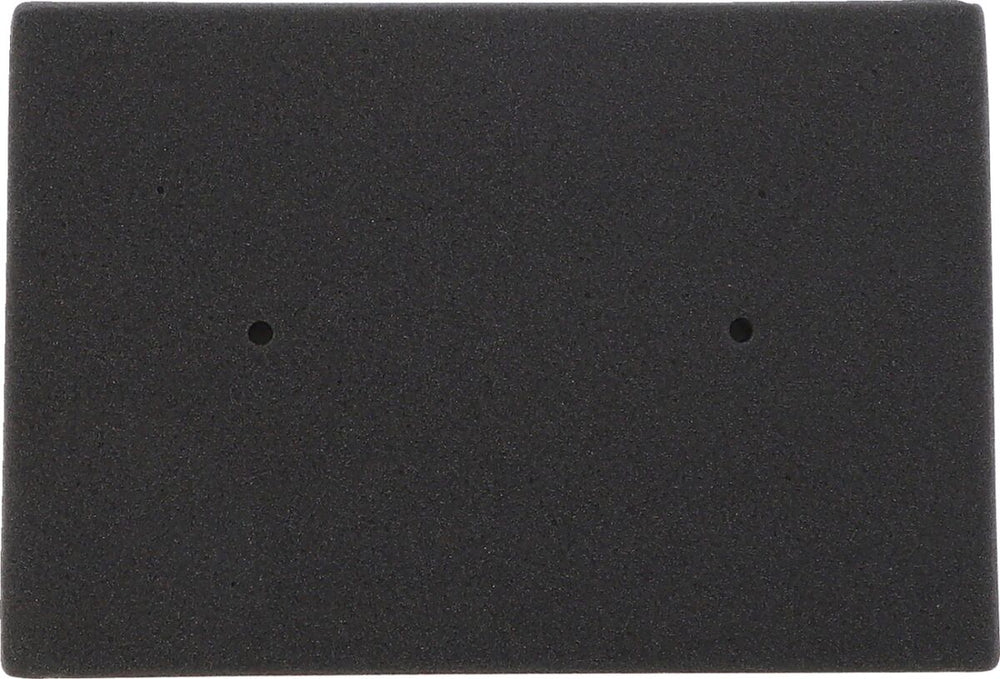 Emgo Air Filtre Kawasaki