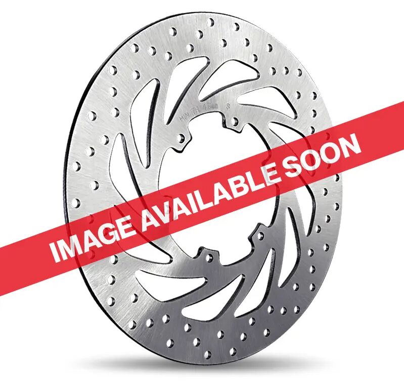 Brembo Frein Disque Fix FR