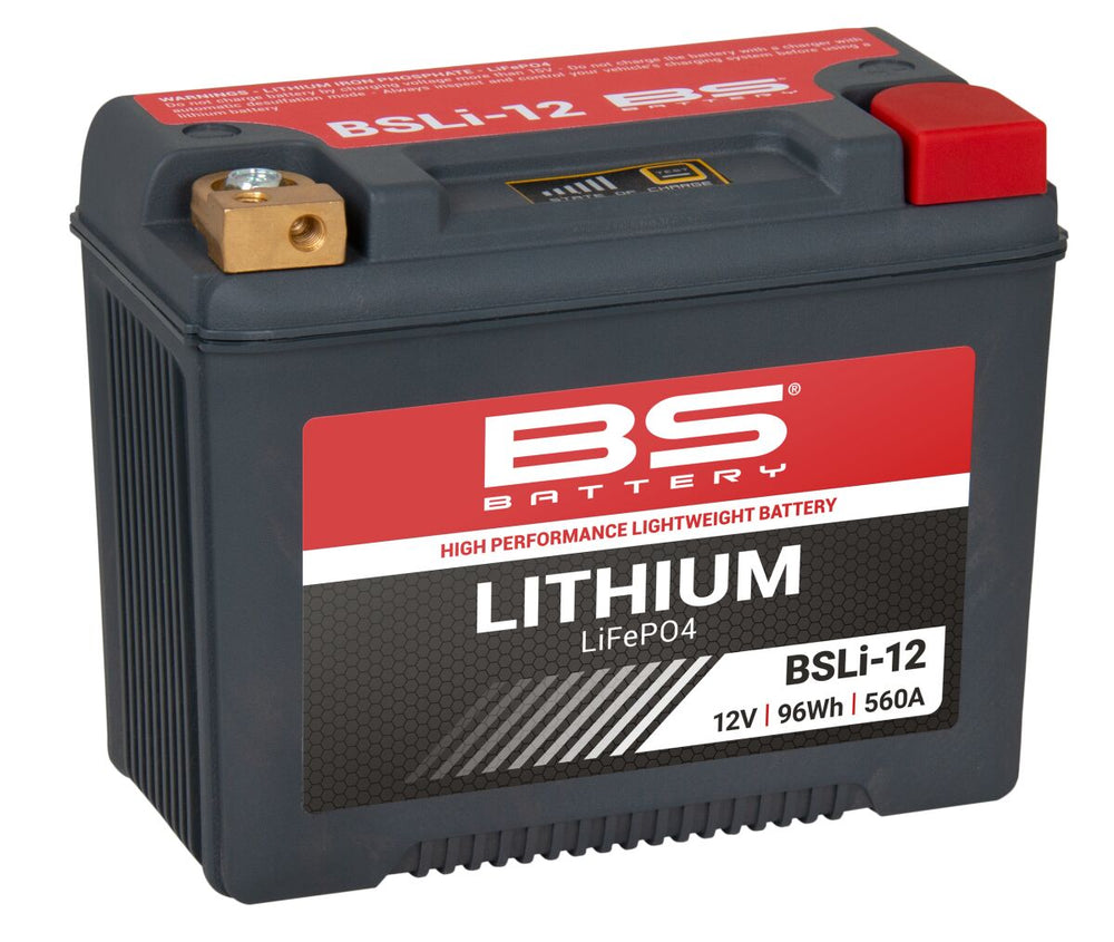 BS Battery Batterie Lithium BSLI-12