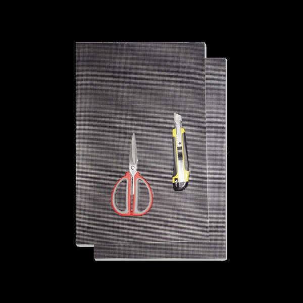 Blackbird Autocollant Sheet Carbone 2PCS