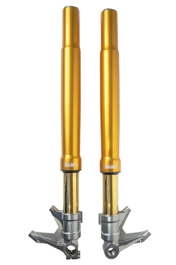 Öhlins Fourche HD Cvo Road/street GLIDE