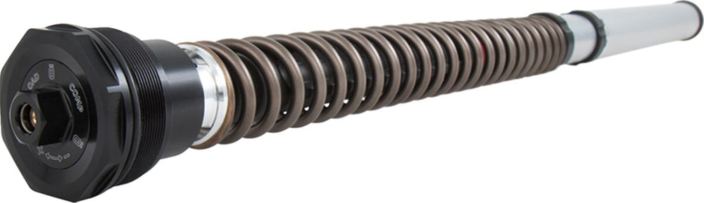 Öhlins Cartridge BMW R NINE T NIX30 F
