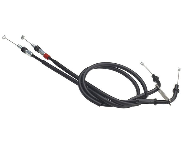 Domino Accélérateur Câble XM2 R6