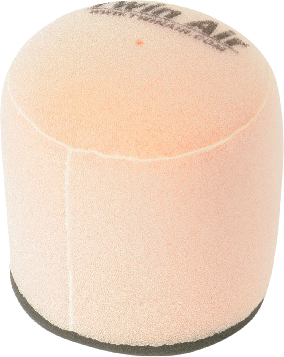 Twin Air Remplacement BF Filtre