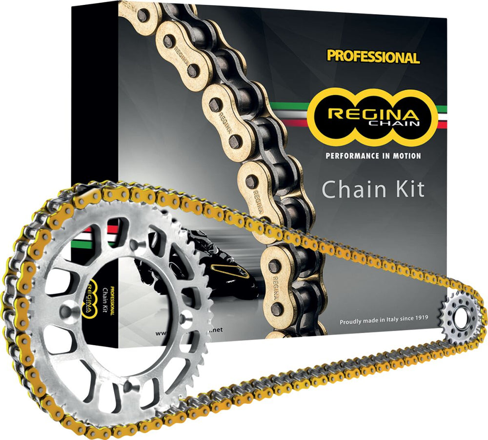 Regina Kit BMW S1000 R