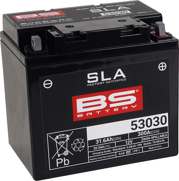 BS Battery Batterie BS 53030 Sla