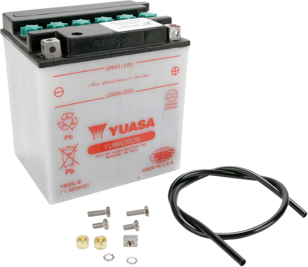 Yuasa Batterie Yuasa HD Dry YB30L-B